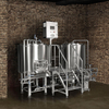 600L Combined 2 Or 3-Vessel Beer Brewhouse Stout Beer Making Plant for Sale
