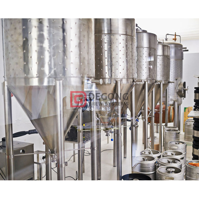 100L microbrewery equipment brewpub Mini stainless steel beer brewing equipment for sale in Italy