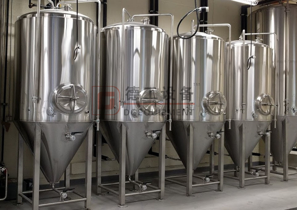 fermentation 2_副本