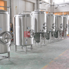 1000L Turnkey Project of Brewery Customzied Beer Brewing Equipment Fermentation Machine for Sale