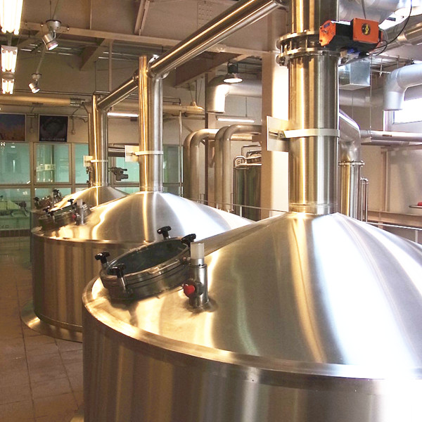 1000L Industrial Automated Stainless Steel Craft Beer Brewery Equipment for Sale 
