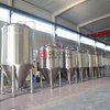 500L commercial turnkey steel craft beer making equipment for sale in Colombia 