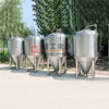 10HL/20HL beer brewery equipment brewhouse with steam heating fermenter with double wall for sale