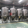 500L commercial turnkey steel craft beer making equipment for sale in Colombia 