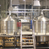1000L Turnkey Commercial Steel Beer Brewing Equipment for Sale