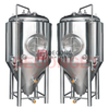 3BBL Stainless Steel Micro Brewery Equipment Small Scale Home Beer Brew Tanks for Sale 