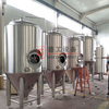 500L Craft Beer Temp Controlled Conical Fermenter Vessel For Pub Resturant Micro Brewery Equipment Used