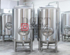 1000L Stainless Steel Beer Fermenter Double Jacket Unitanks High-standard Brewing Equipment for Craft Beer