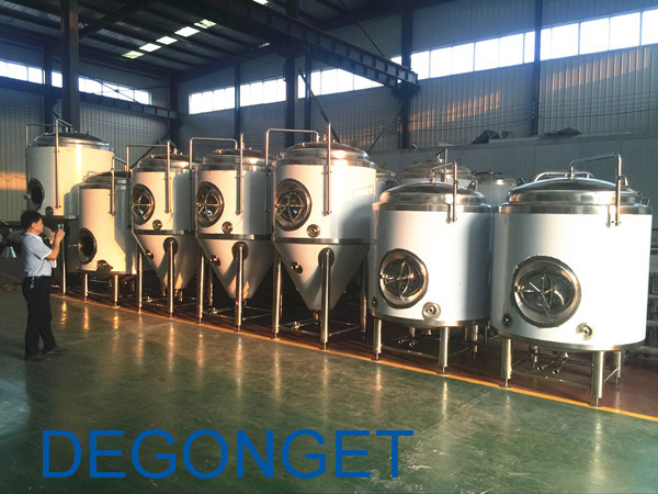 1000L&2000L Fermenters for Irish custoemr_副本_副本
