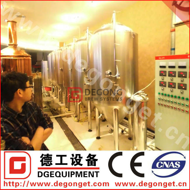 500L Customizable Turnkey High Quality Beer Brewing Equipment for Sale 