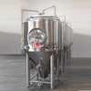 10BBL Conical Commercial Stainles Steel Beer Brewing Equipment Fermenting Vessels for Sale