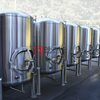 20HL Industrial Custom Built Steel Beer Brewing Equipment for Restaurant
