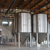 1000L Industrial Stainless Steel Automated Craft Beer Brewing Equipment for Sale 