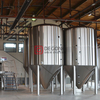 500L turnkey customized steam heated beer brewing equipment for sale