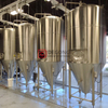 10BBL Jacketed Beer Fermenter Conical New Customizable Brewery Equipment for sale Colombia