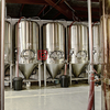 1000L Turnkey Commercial Steel Beer Brewing Equipment for Sale