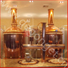 500L Customizable Turnkey High Quality Beer Brewing Equipment for Sale 