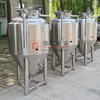 500L Craft Beer Temp Controlled Conical Fermenter Vessel For Pub Resturant Micro Brewery Equipment Used