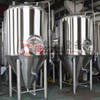 10 BBL Stainless Steel Isobaric Jacketed Fermenter/Unitank/Fermentation Tank Commercial for Sale