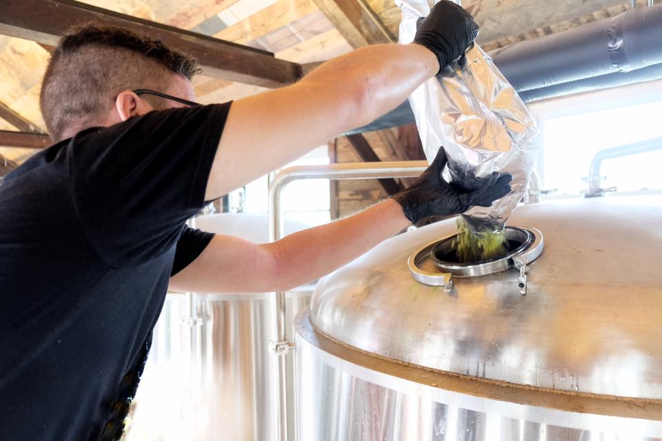 发酵罐添加酒花