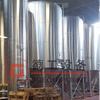 500L Mini Brewery Equipment for Conical Double Wall Beer Fermentater for Sale
