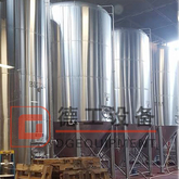 600L Top of The Line Professional Craft Commercail SUS304 Beer Brewing Equipment Affordable 