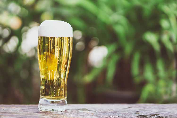The Influence of Beer Harmful Bacteria on Beer