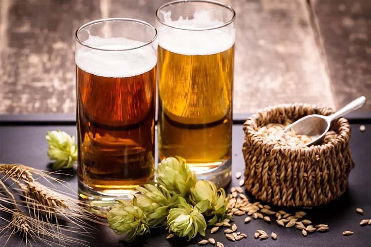 Influence of water treatment on beer brewing