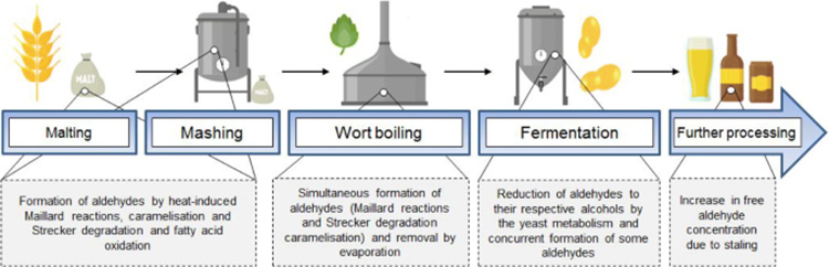 Measures to Improve Beer Flavor Stability