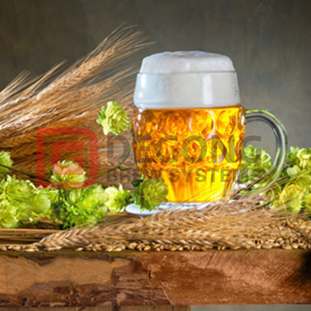 Beer Brewing Equipment6