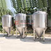 5BBL Primium Quality Automatic Customized SUS Beer Brewery Equipment 