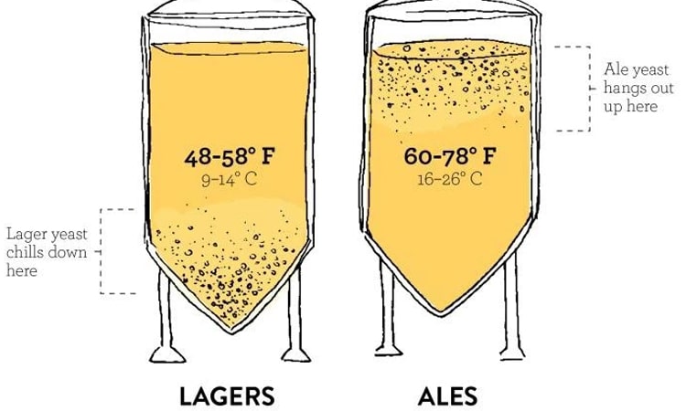 未标题-1 文章750-min2
