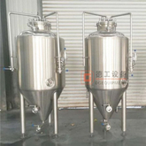 Double Jacketed 300L Fermentation Vessel Manual Unitank for Craft Beer Global Popularity