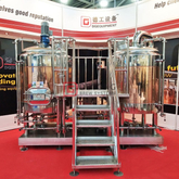 500L Hotel Used SUS304/Copper Customized Beer Brewing System Fermenting Vessels for Sale