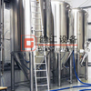 700L 7BBL China The Best Technology Beer Equipment High Quality Professional Craft Dimple Jacket SUS304 Fermentation Vessel 