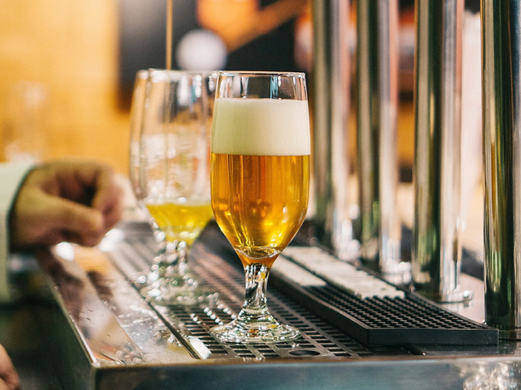 What Environmental Factors can Affect Beer Brewing?