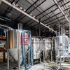 500L Beer Brewhouse Equipment Commercial beer brewing equipment DEGONG Supplier