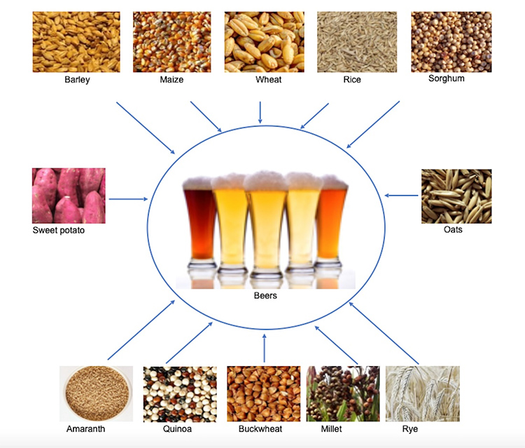 Transformation of major substances during saccharification