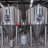 2000L Beer Fermentation Tank Industrial Brewing Use