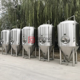 1000L Vertical Stainless Steel Insulated Top/side Manhole Cooling Jacket Beer Fermenting Tank Brewery System