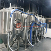 5BBL/600L Beer Brewery Equipment Craft Microbrewery The Best Technology Beer Equipment Stainless Steel Beer Tanks for Sale