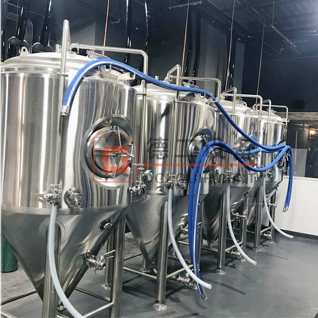 5BBL/600L Beer Brewery Equipment Craft Microbrewery The Best Technology Beer Equipment Stainless Steel Beer Tanks for Sale