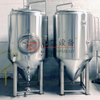 CE ISO 6BBL 700L Beer Stainless Steel Conical Beer Fermenter Dimple Plate Factory Beer Equipment for Sale