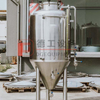 200L 300L 500L Beer Conical Fermenter Beer Fermentation Tank for Small Brewhouse 