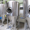 1000L Cooling Jacket Stainless Steel Insulated Vertical Isobaric Fermentation Tank-Unitank 