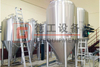 600L/5BBL beer brewery equipment used 2 Vessels electric Brewhouse and stainless steel 304 isobaric fermentation tank