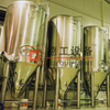20BBL DEGONG Beer Making Machine Suppliers Double Wall Cooling Fermentation Vessel for Sale