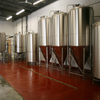 1000L Insulated Dimple Jacket Conical Stainless Steel Vertical Isobaric Beer Fermentation Tank And Brite Tank