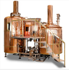 500L Microbrewery Equipment with High Quality Stainless Steel Electric Heating Double Jacket for Sale European America Global Customers
