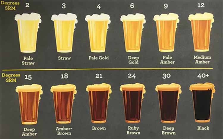 Level of drinking beer